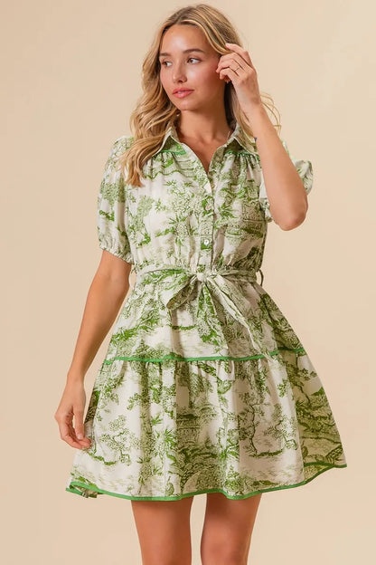 Woven Printed Tiered Dress in Avocado - product view 12