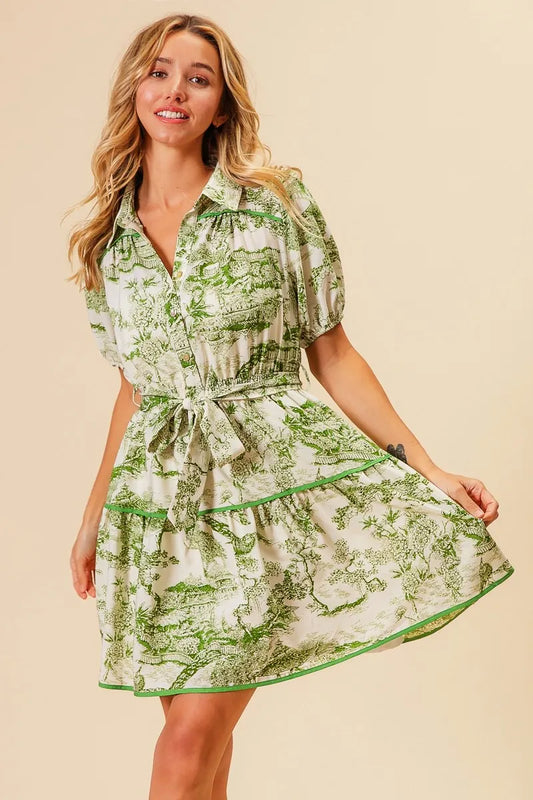 Woven Printed Tiered Dress in Avocado - product view 2
