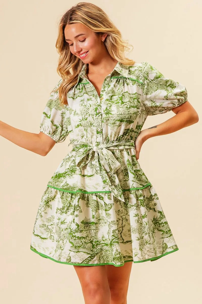 Woven Printed Tiered Dress in Avocado - product view 16