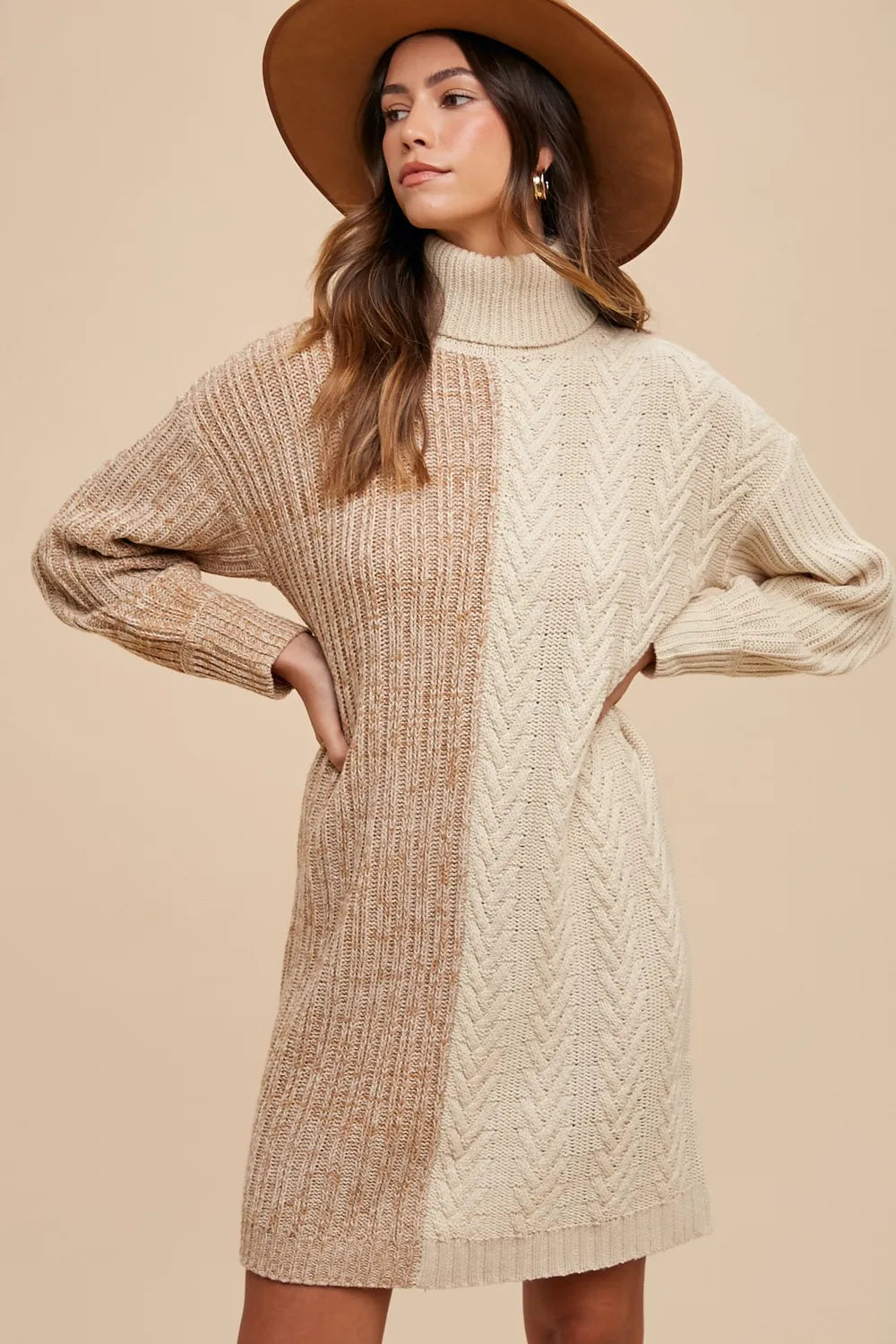 Color Block Turtleneck Sweater Dress in Taupe - product view 5