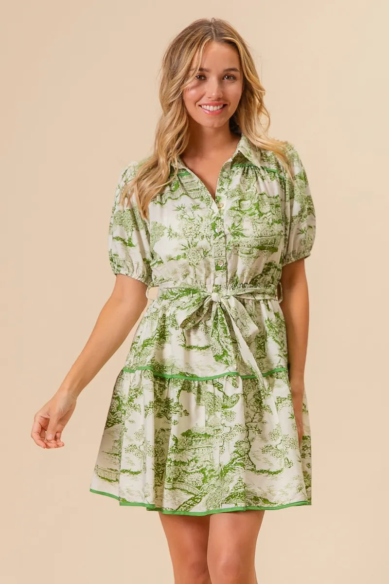 Woven Printed Tiered Dress in Avocado - product view 10