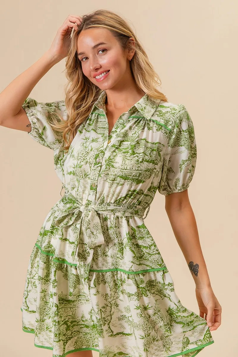 Woven Printed Tiered Dress in Avocado - product view 4