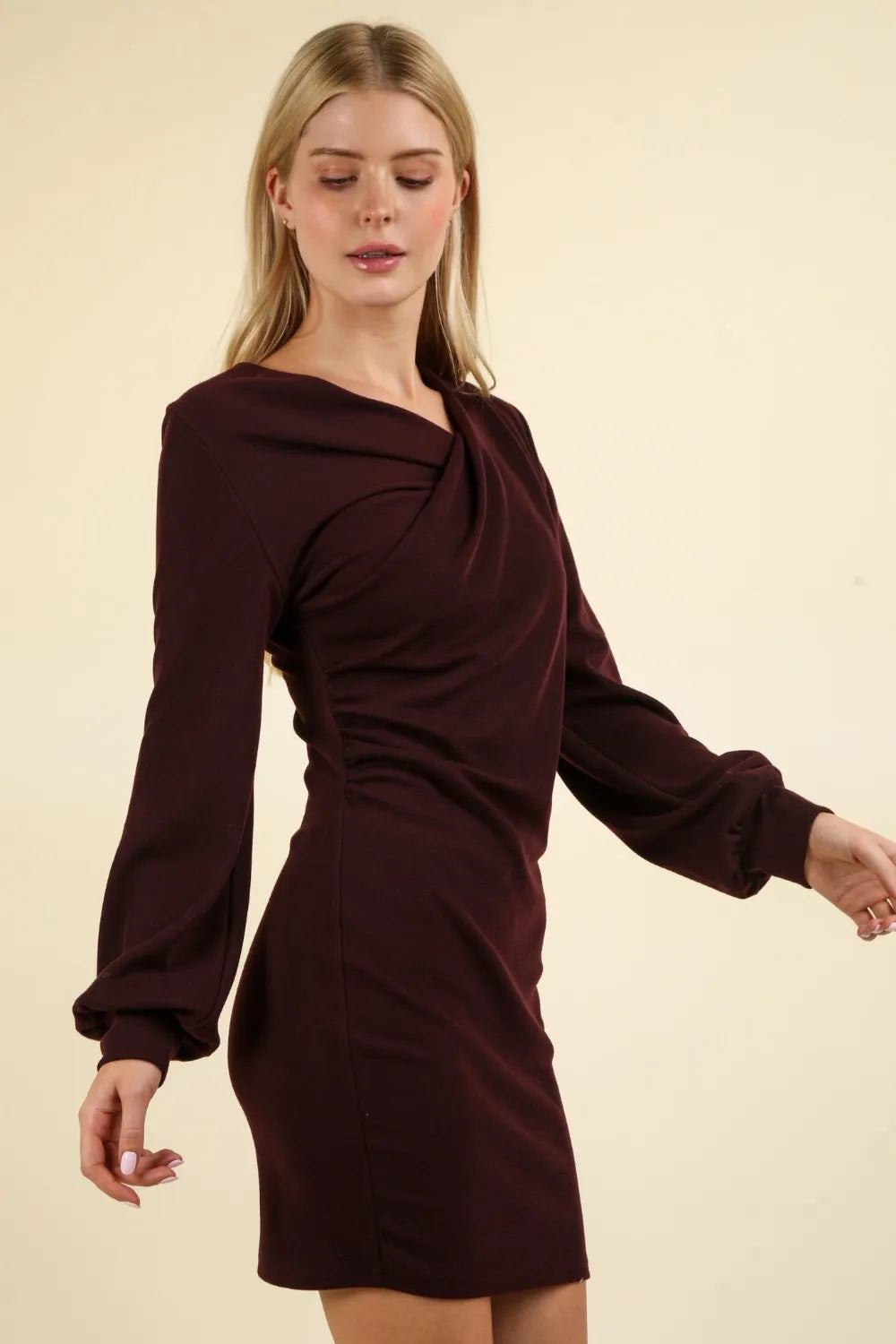 Ruched Detail Bodycon Mini Dress - Wine - product view 3